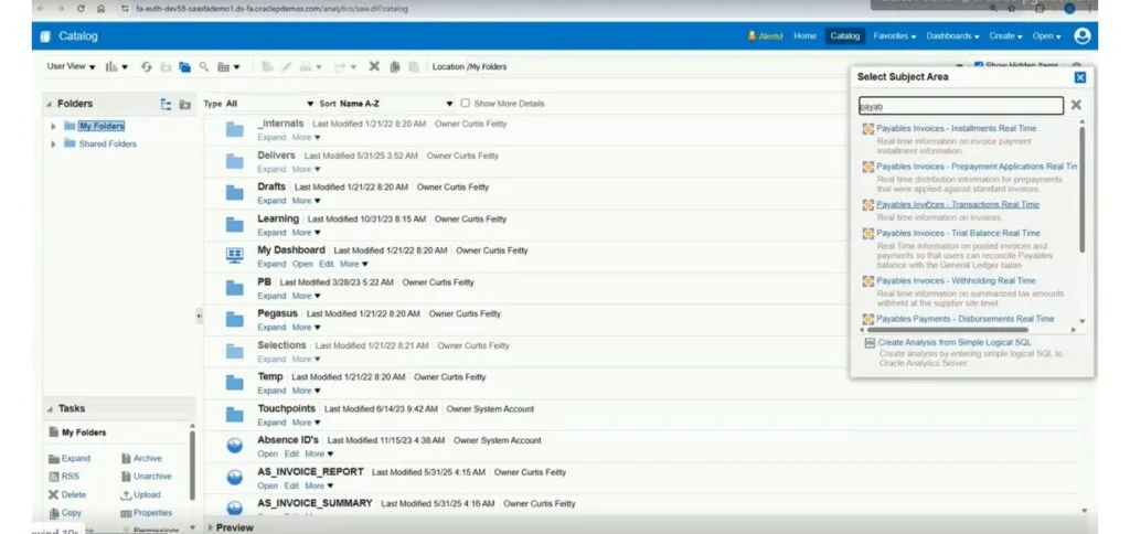 Payables Invoice Subject Area